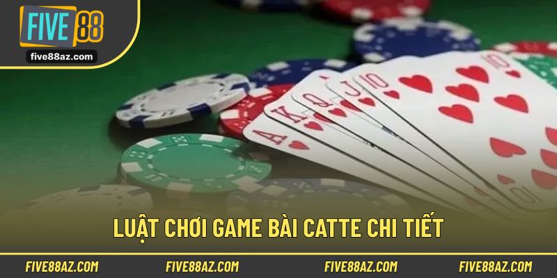 Hướng dẫn chi tiết cách vận hành từng vòng catte